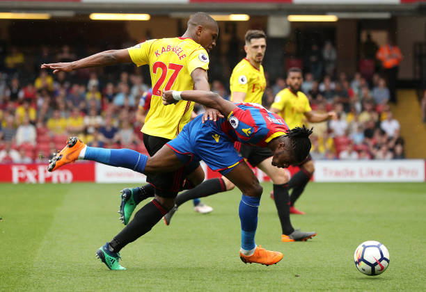 体的关注 体的关注