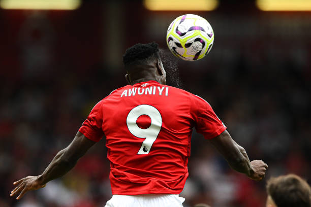 也激发了球 也激发了球