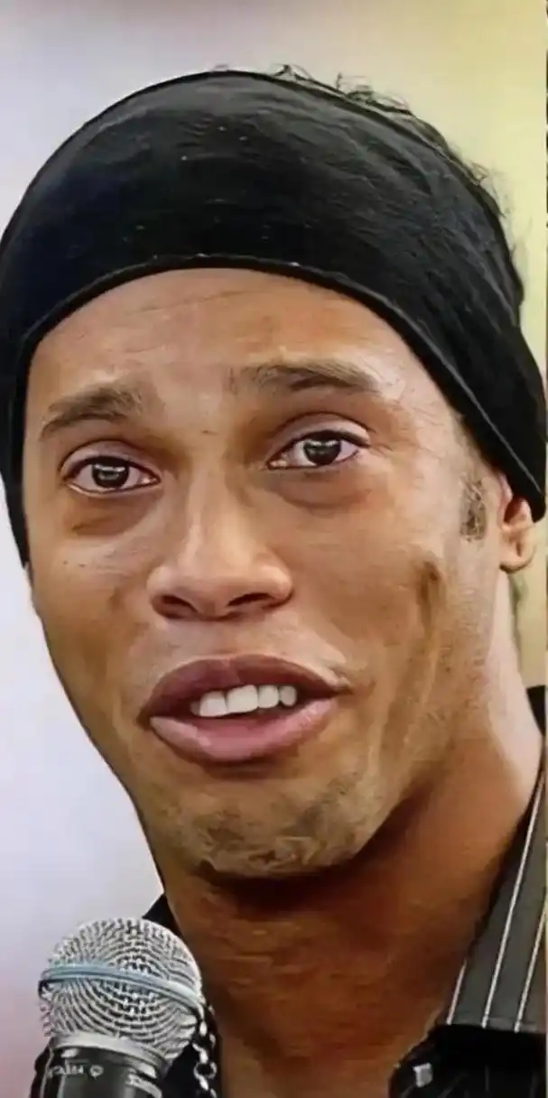 不仅确保了 不仅确保了